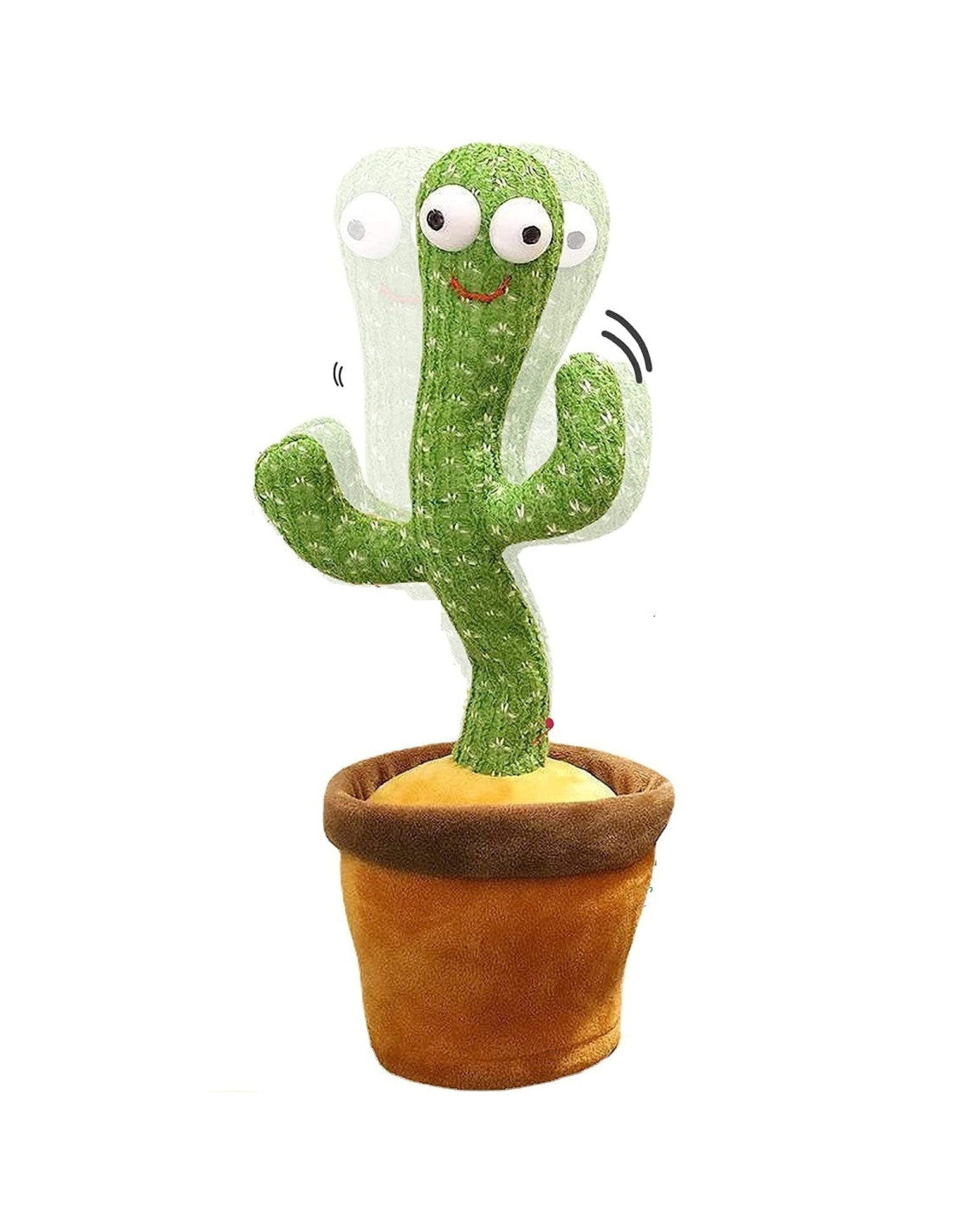 Mr Cactus 